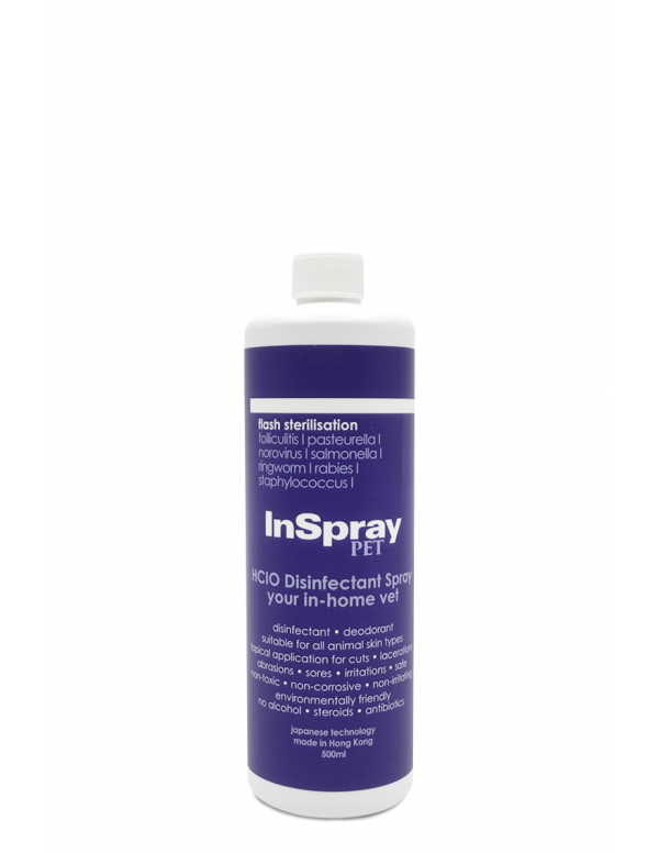 InSpray PET 500ML